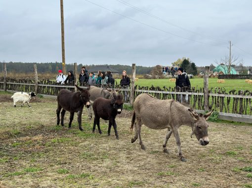 Prekmurska Vzorčna Kmetija/Muravidéki Mintagazdaság (2024/2025)